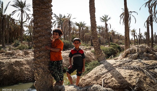 خبر خوش موافقت با تجدید نظر در حق آبه کشاورزی استان خوزستان