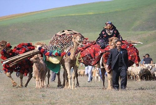 درخواست از عشایر سراسر کشور برای ثبت نام و دریافت “دامدار کارت” ۲۰۰ میلیون تومانی