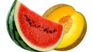 روشی متفاوت برای خوردن طالبی و هندوانه+ویدئو