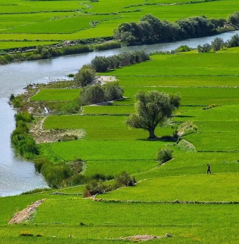 مناظری زیبا از روستای چم سهراب خانی کامفیروز