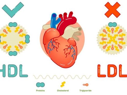 نشانه های خاموش کلسترول و تفاوت بین کلسترول خوب و بد
