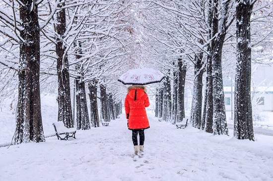 پیش بینی جدید هواشناسی از وضعیت آب و هوا و تداوم بارش ها در کشور