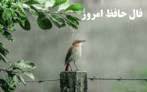 فال حافظ امروز ۲۴ بهمن با تفسیر دقیق و زیبا /به عالمی نفروشیم مویی از سر دوست