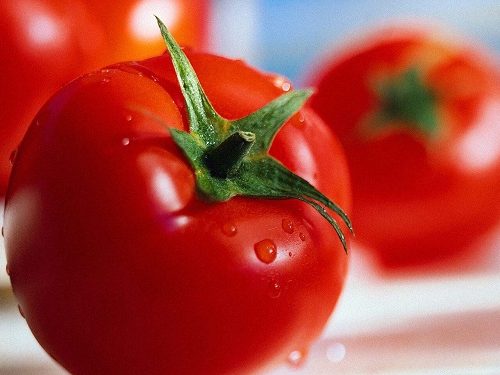با گوجه فرنگی ۵ غذای خوشمزه ،آسان و رژیمی درست کنید+طرز تهیه