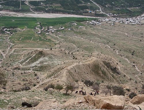 قَلع و قَمعِ و آتش زدن درختان در میراث جهانی غارِ شاهپور کازرون +تصاویر