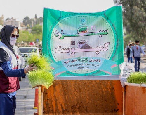 جزئیات جمع آوری سبزه های شهروندان توسط شهرداری شیراز در سیزده به در