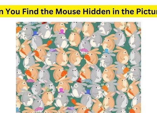 تست بینایی:موش چاق پنهان در تصویر را در ۳۰ ثانیه پیدا کنید