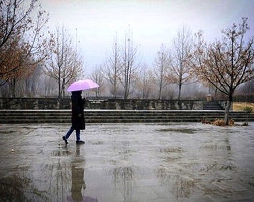 سازمان هواشناسی:این استان‌ها در ایام عید فطر منتظر بارش باشند