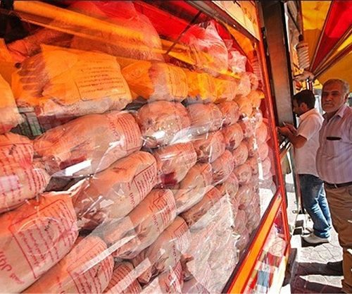 ادعای یک مقام صنفی در باره کاهش قیمت گوشت مرغ در روزهای آینده