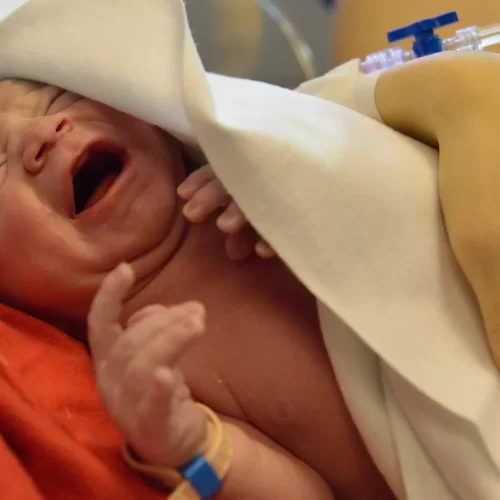 جزئیات فجیع زنده شدن یک نوزاد در سردخانه بیمارستان شهریار