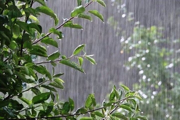 پیش بینی هواشناسی| هشدار بارش باران و وزش باد برای مناطقی از استان فارس