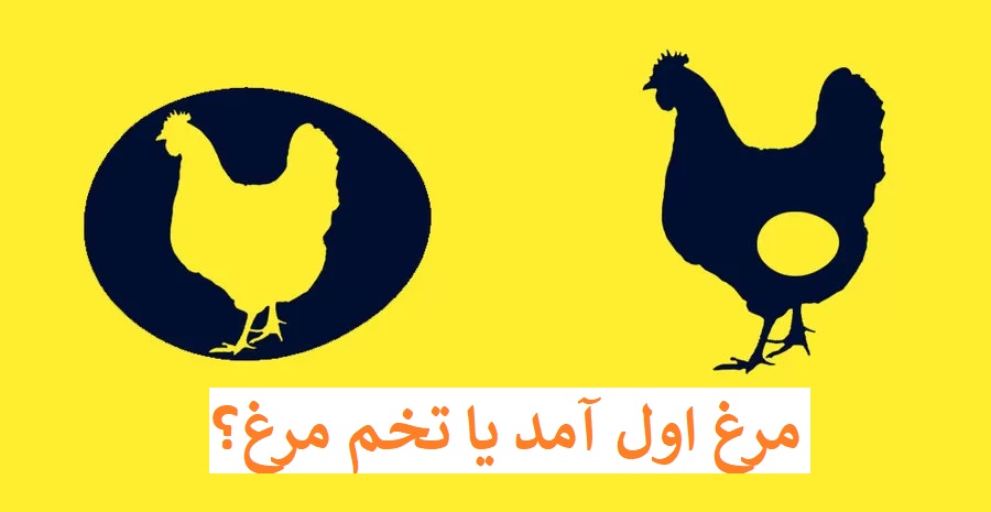 مرغ ی تخم مرغ