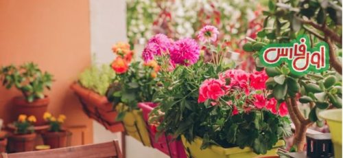 ۱۵ تا از زیباترین گیاهان که در بالکن خانه تان باغچه زیبا بسازید