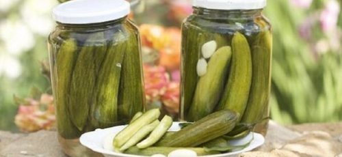 فوت و فن‌های طرز تهیه خیارشور خانگی ؛ ترد و راحت