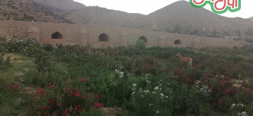 شیراز را خوب نگشتی اگر نمی دونی کجای شیرازه !