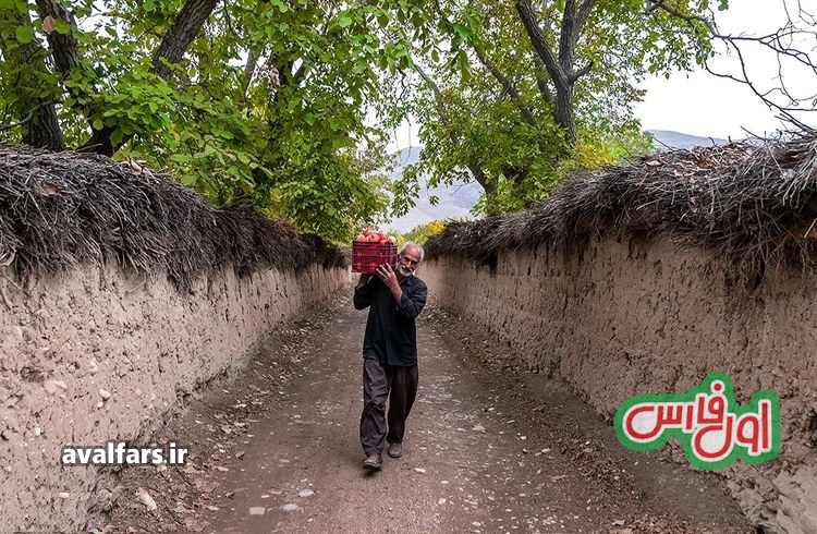 شرط جدید دادن نهاده‌های کشاورزی به باغ ها در استان فارس که باغداران باید بدانند