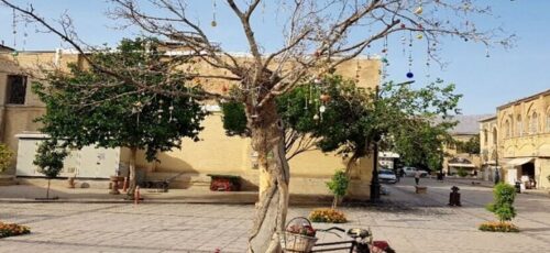شکست مدیریت شهری شیراز با تغییر نام آزادی و قطع ۱ درخت در باور مردم