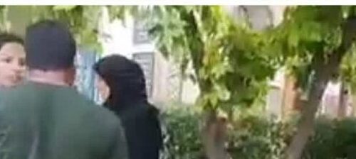 ماجرای ضرب و شتم زنِ آمر به معروف در نارنجستان شیراز