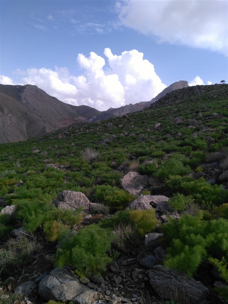 عکس قدیمی یک زن و شوهر روستایی در فارس 70 سال پیش