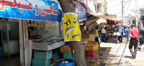 ماهی فروشان و دستفروشان شیراز از دروازه کازرون به گلکوب می روند ؟