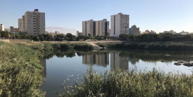 جانوران بیچاره پارک آبی فروزان شیراز در حال نابودی اند