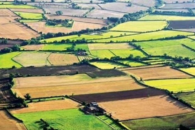 امور اراضی برای تعیین تکلیف زمین‌های کشاورزی بدون سند چه می کند؟