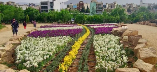 گل کم و برکه بدون آب باغ گل ها در شیراز امری طبیعی است ؟