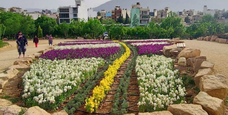 گل کم و برکه بدون آب باغ گل ها در شیراز امری طبیعی است ؟