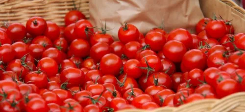 افزایش قیمت گوجه فرنگی در میادین میوه وتره بار/شاید بترکد