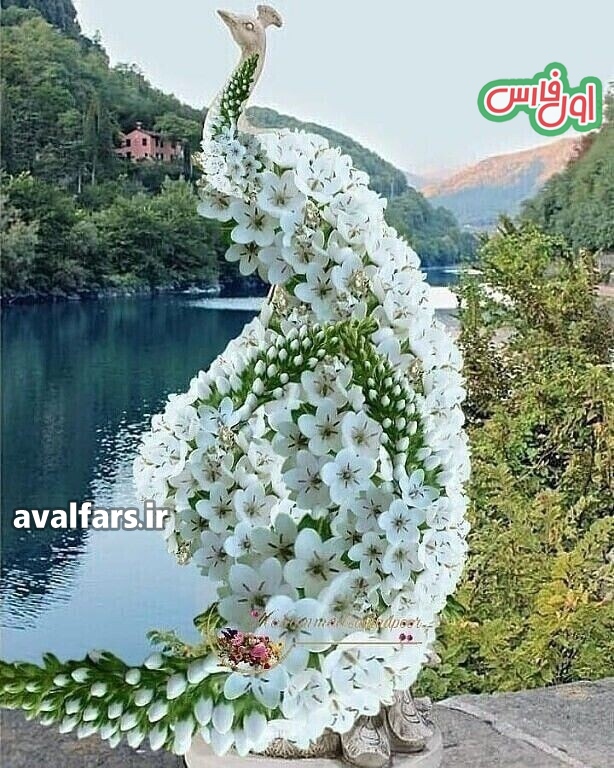 ببینید| مجسمه طاووس با گل های بسیار زیبا