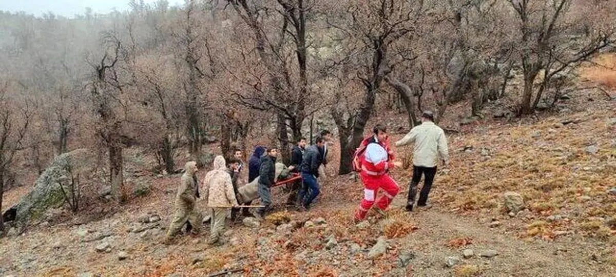 مجروح شدن یک محیط بان حین درگیری با شکارچیان مسلح در پارک ملی دنا که فرار کردند