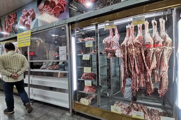 گوشت قرمز به وفور در بازار وجود دارد/ آقای رئیس کجای کاری؟ مردم ندارند!