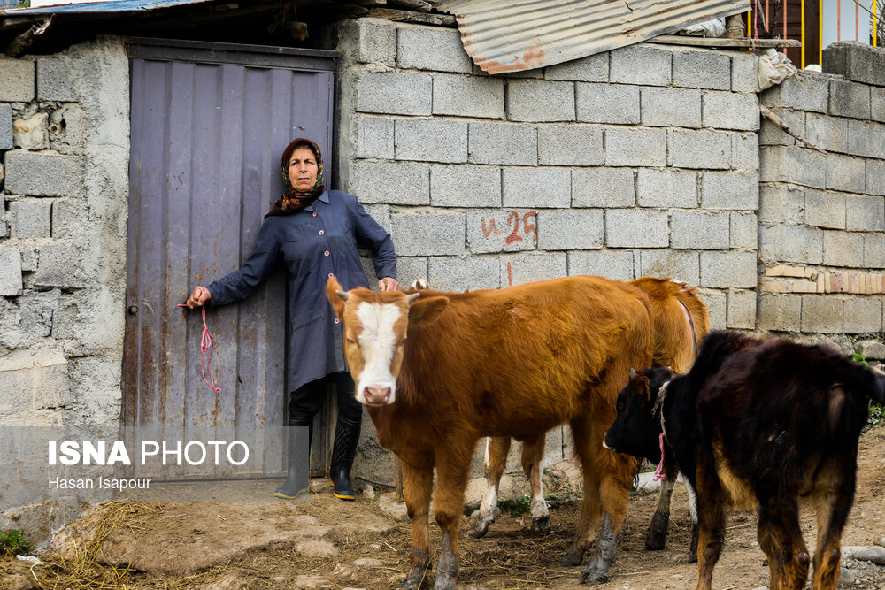 زندگی روستایی 21