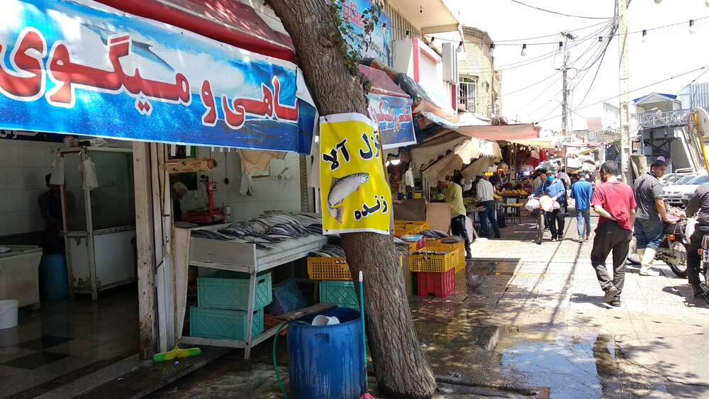 ماهی فروشان هنوز از دروازه کازرون شیراز نرفته اند/شورای شهر باز هم اولتماتوم داد