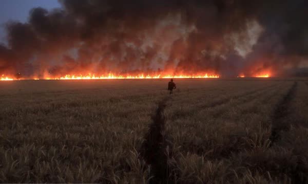 صاعقه مزارع گندم شهرستان بیضا را به آتش کشید