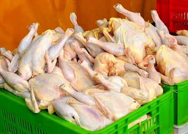 قیمت مرغ در استان فارس گرانتر از دیگر استانها / بر خلاف ادعای جهاد کشاورزی