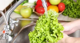 نکات بسیار مهم در شست و شوی سبزیجات که دانستن آنها ضروری است