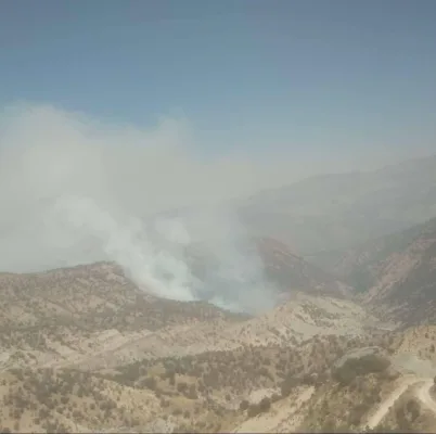 آتش سوزی در جنگل های کوهمره سرخی و جروق استان فارس