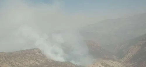 آتش سوزی وسیع در جنگل های کوهمره سرخی و جروق استان فارس ادامه دارد
