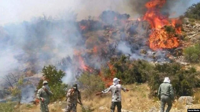 محکومیت عامل آتش سوزی« جنگل‌های خفر » به ۱۰ سال زندان و پرداخت خسارت