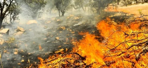 مهار نشدن شعله‌های آتش در جنگل ارتفاعات شلال دان باشت