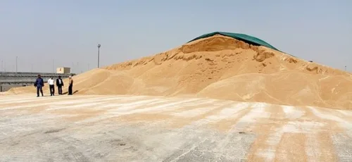 ببینید|خودداری کامیون داران از حمل گندم خریداری شده به سیلوهای فارس