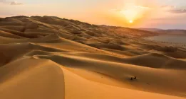 کشف گنجی بزرگ در عربستان سعودی که سوپر میلیاردر شد