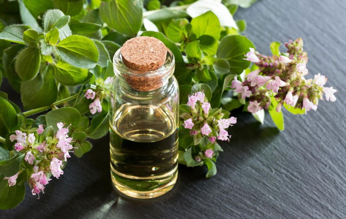 9 خاصیت جادویی مرزنجوش برای درمان و سلامتی و روش مصرف آن
