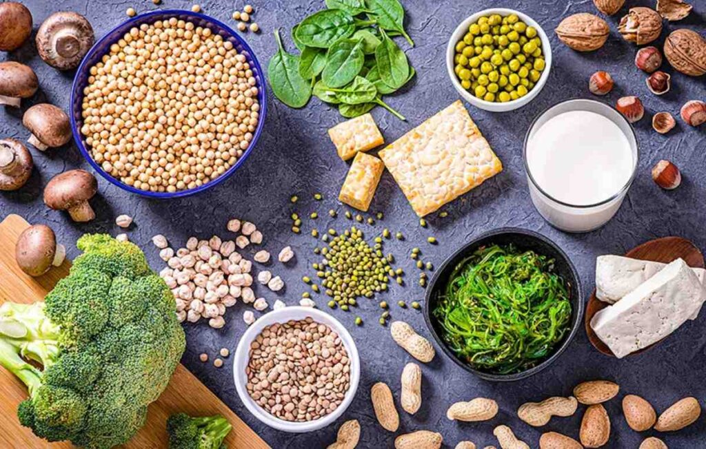 بهترین غذاها برای تامین پروتئین گیاهخواران