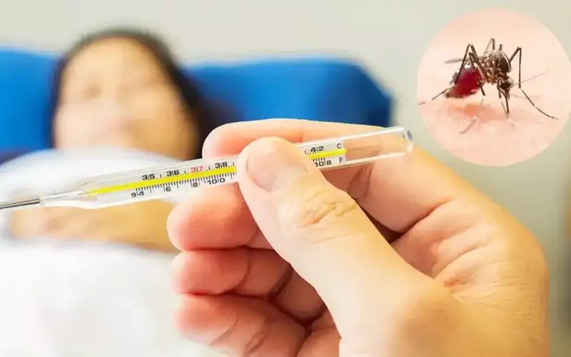 ۳ استان شمالی و ۴ استان جنوبی در خطر افزایش پشه آئدس