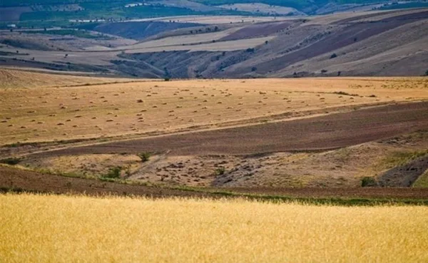 پرداخت تسهیلات قرض الحسنه ۲۰۰ میلیون تومانی به کشاورزان متقاض خرید تجهیزات برای اراضی دیمزار