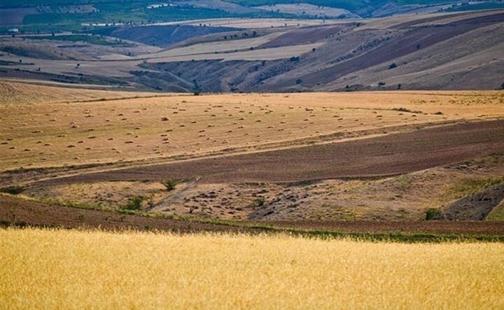 پرداخت تسهیلات قرض الحسنه ۲۰۰ میلیون تومانی به کشاورزان متقاض خرید تجهیزات برای اراضی دیمزار