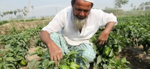 مصیبت حضور اتباع خارجی غیرمجاز در باغات و ویلاها که تازه لو رفت !