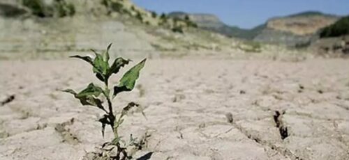 آب باید بصورت حجمی به کشاورز تحویل شود/۷۰ درصد بارندگی‌ها فورا تبخیر می‌شود